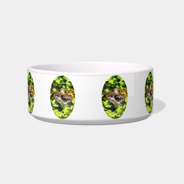 FROG BOWL (Front)
