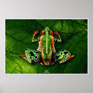 Frog by Johannes Stötter Poster