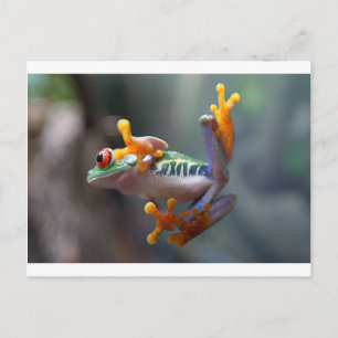 Frog by John Remar Jr. Postcard