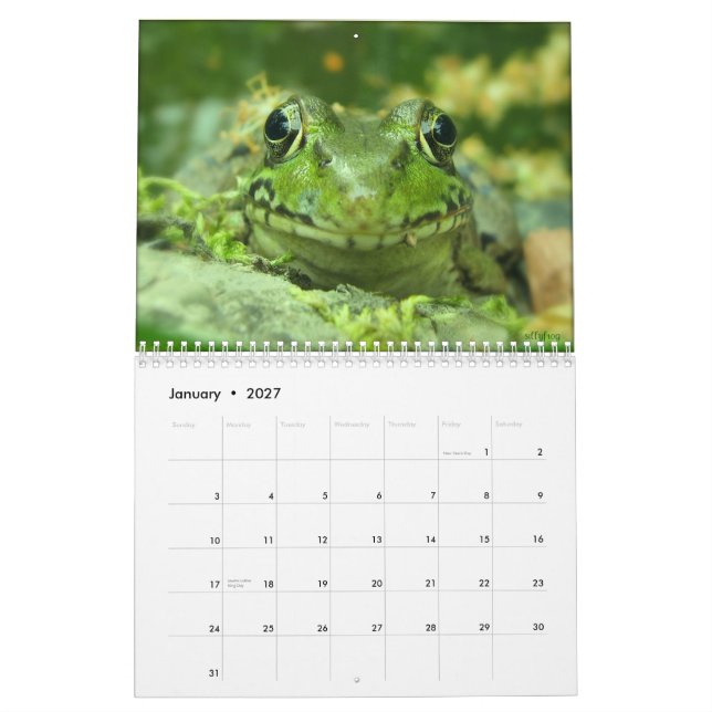 Frog Calendar (Jan 2027)