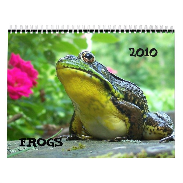 Frog Calendar (Cover)