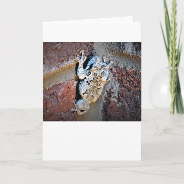 Frog, card (Front)