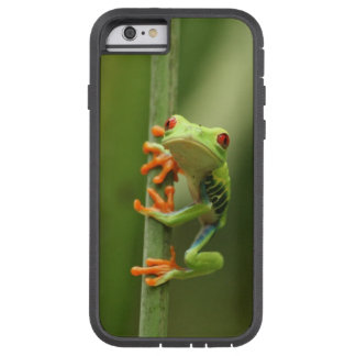 Frog iPhone SE, 6s, 6s Plus, 6, 6 Plus, 5s, & 5c Cases & Covers ...