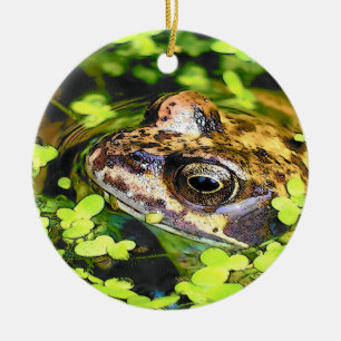 FROG CERAMIC TREE DECORATION