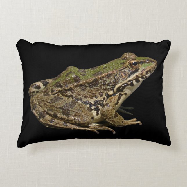 Frog Decorative Cushion (Front)