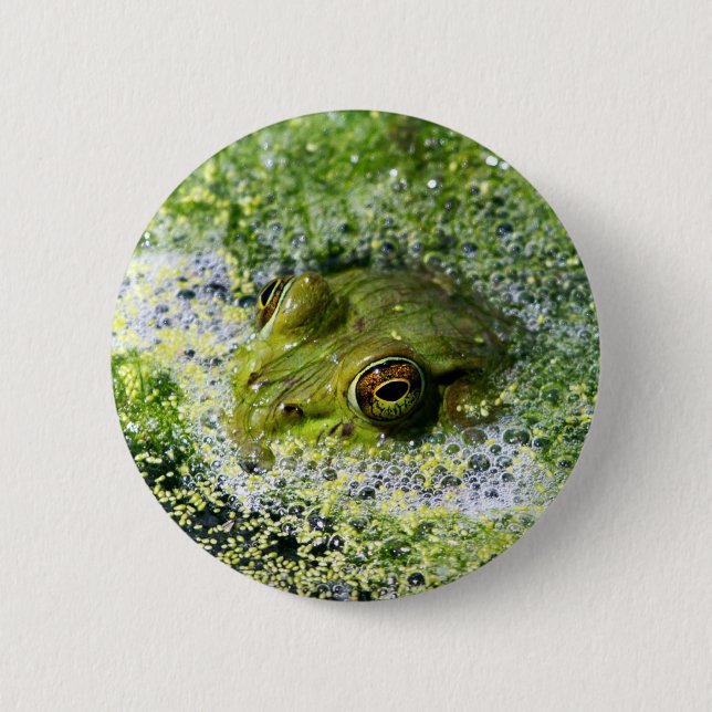 Frog Eyes 6 Cm Round Badge (Front)