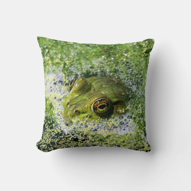 Frog Eyes Cushion (Front)