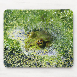 Frog Eyes in a Pond Mouse Mat
