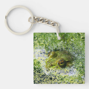 Frog Eyes Key Ring