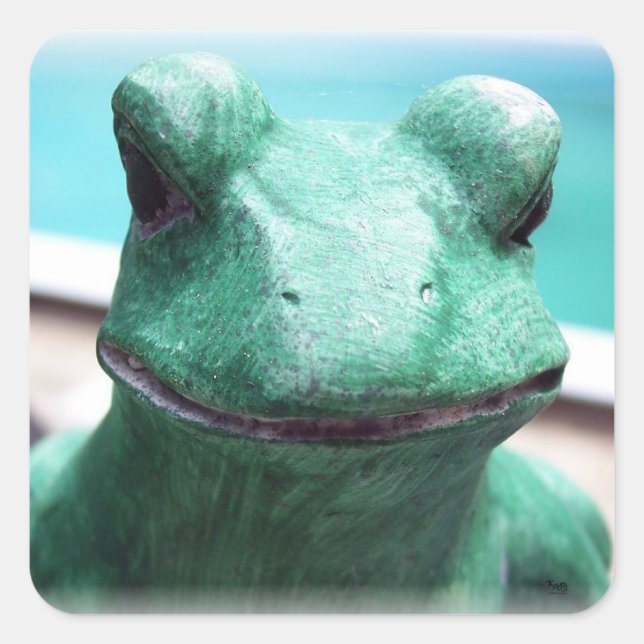Frog Face Square Sticker (Front)