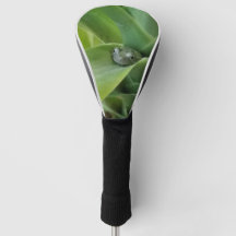 Frog  Golf Club Cover