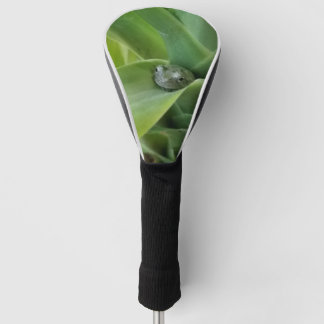Frog  Golf Club Cover