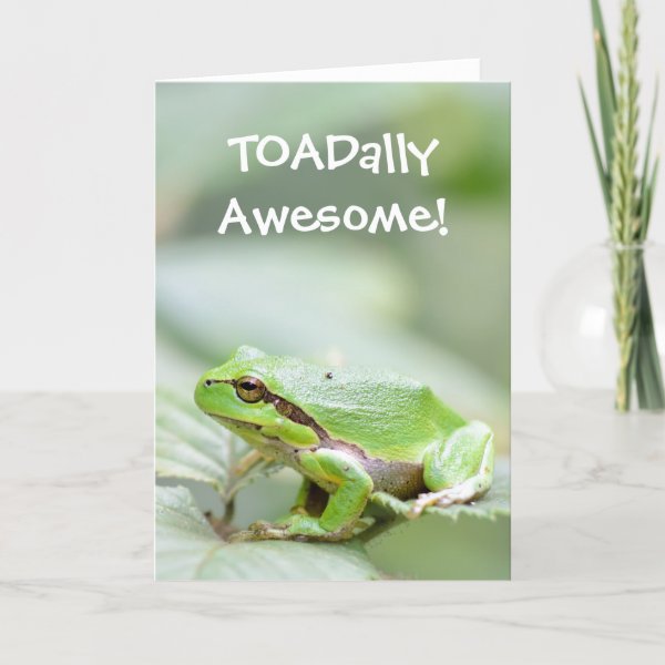 Funny Frog Cards | Zazzle UK