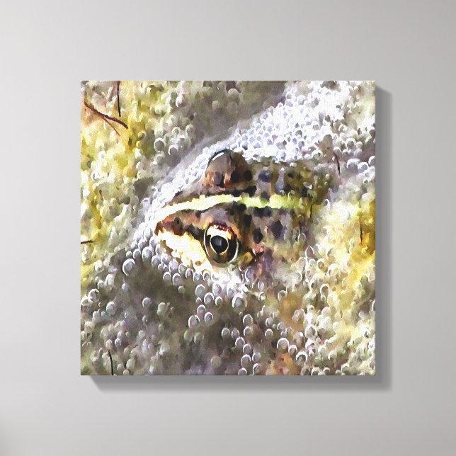 Frog Immersed In Water Bubbles and Frogspawn Canvas Print (Front)