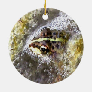 Frog Immersed In Water Bubbles and Frogspawn Ceramic Tree Decoration