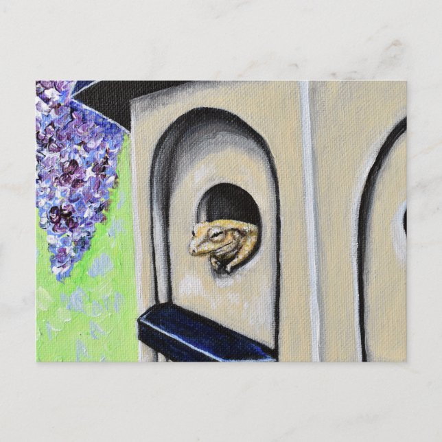 Frog in a Birdhouse Painting Postcard (Front)