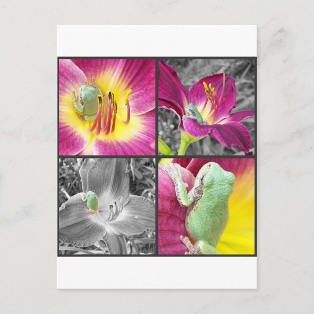 Frog in flower collage postcard (Front)