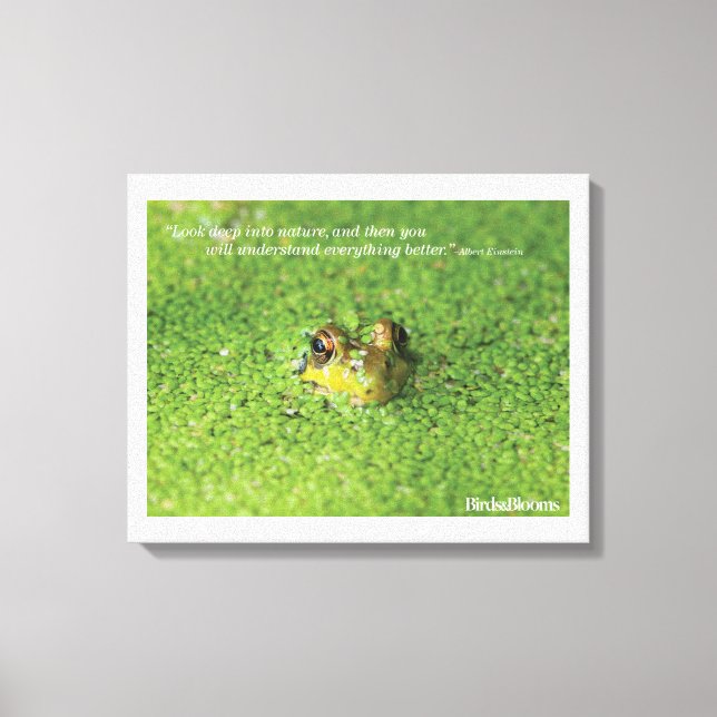 Frog in Green Algae Canvas Print (Front)