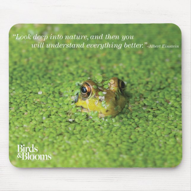 Frog in Green Algae Mouse Mat (Front)
