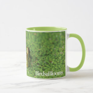 Frog in Green Algae Mug