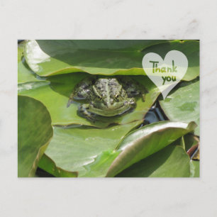Frog in Green Looking at You Thank You Postcard