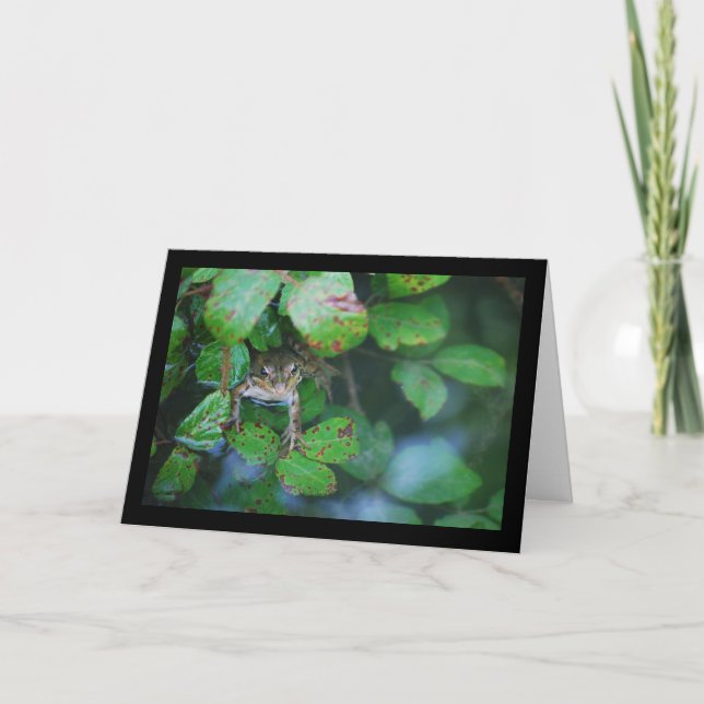Frog in Leafy Pond Card (Front)