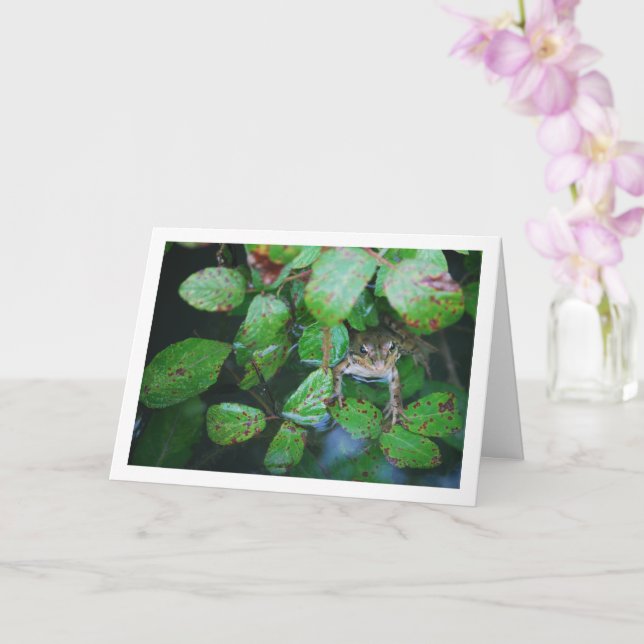 Frog in Leafy Pond Portrait Card (Orchid)