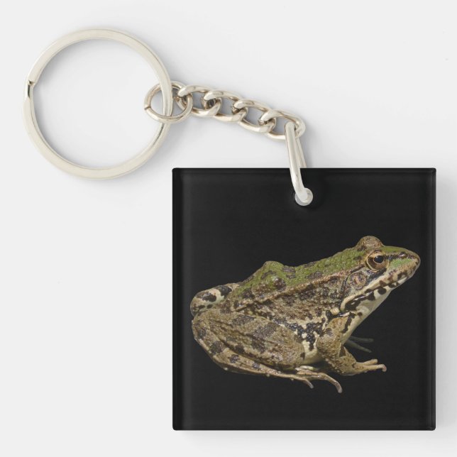 Frog Key Ring (Front)