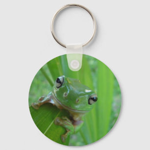 Frog Keychain