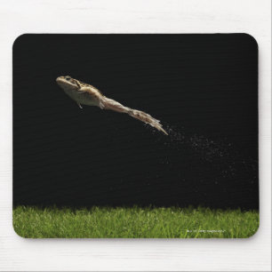 frog leaping off fresh green grass mouse mat