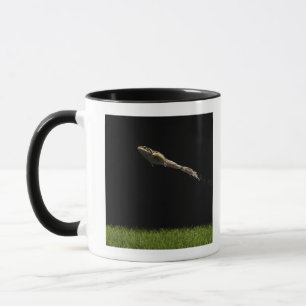 frog leaping off fresh green grass mug
