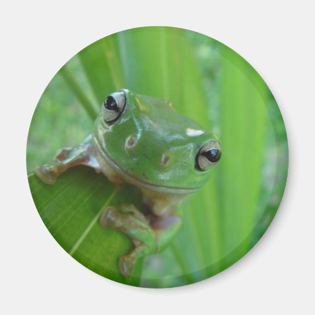 Frog Magnet (Front)