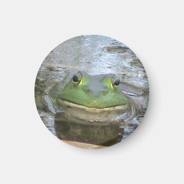 Frog Magnet (Front)