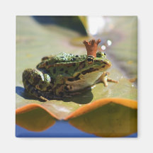 frog