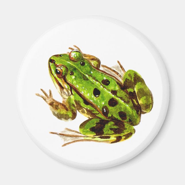 Frog Magnet (Front)