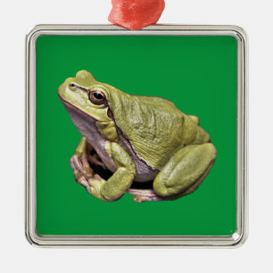 Frog Metal Tree Decoration