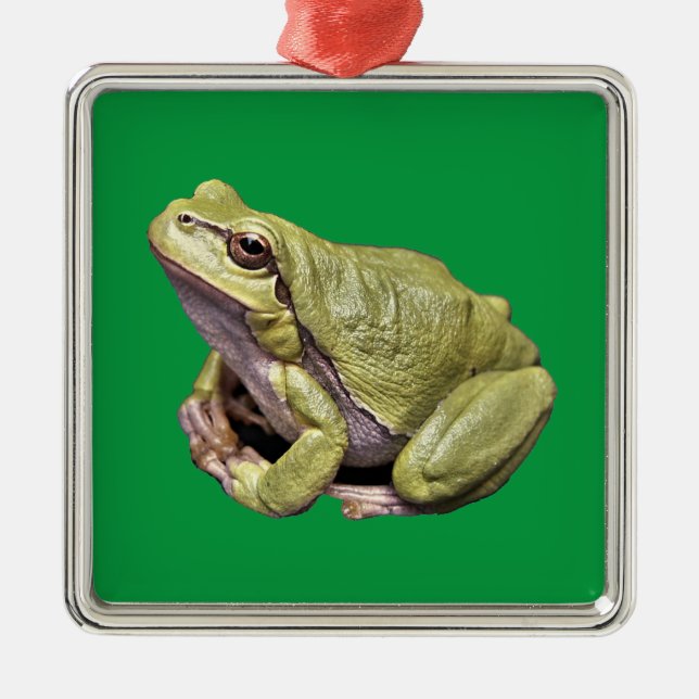 Frog Metal Tree Decoration (Front)