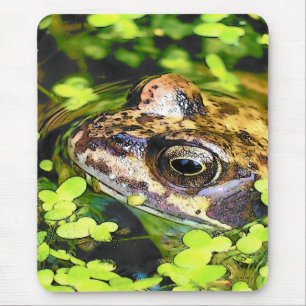 FROG MOUSE MAT