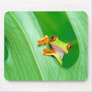 frog mouse mat