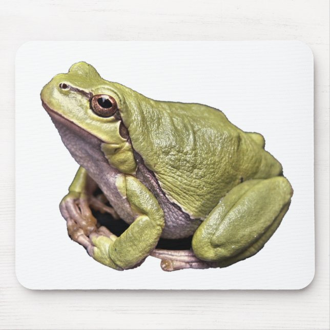 Frog Mouse Mat (Front)