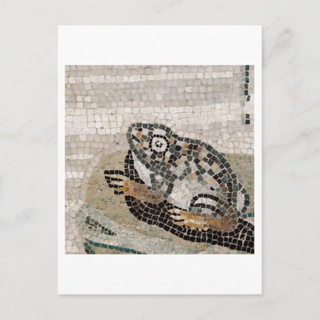 Frog, Nile mosaic, from the House of the Faun Postcard (Front)