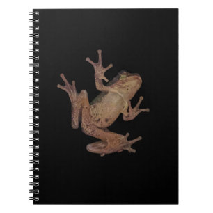 frog notebook