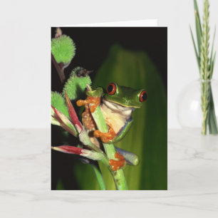 Frog notecards