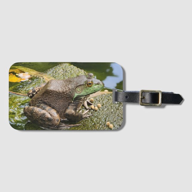 Frog - Old Croaker Luggage Tag (Front Horizontal)