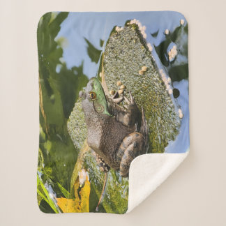 Frog - Old Croaker Sherpa Blanket