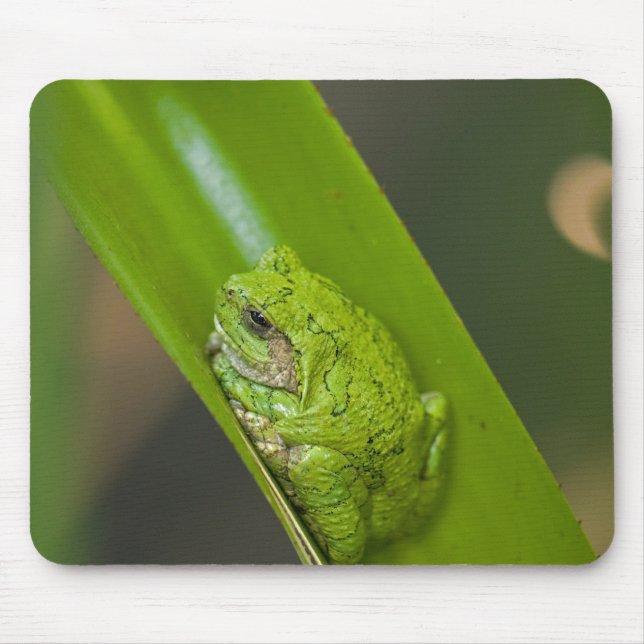Frog On a Green Leaf Mouse Mat (Front)