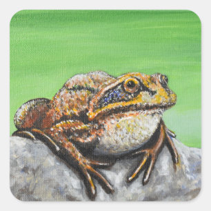 Frog on a Rock painting Square Sticker