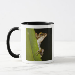Frog on leaf in profile mug