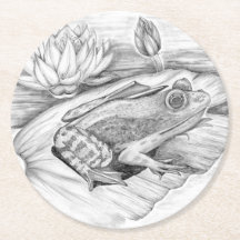 Frog on Lily Pad