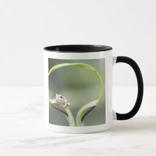 Frog on plant stem, Biei, Hokkaido, Japan Mug